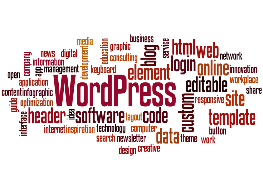 How To Add Code On WordPress Theme Header