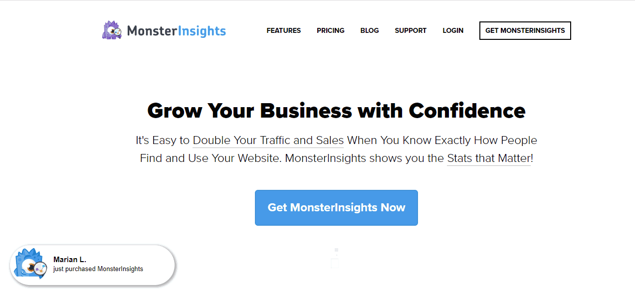 monsterinsights coupon