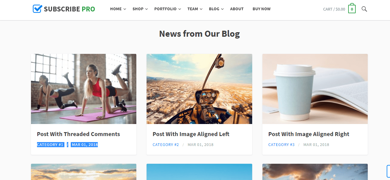 blog posts widget in subscribe theme