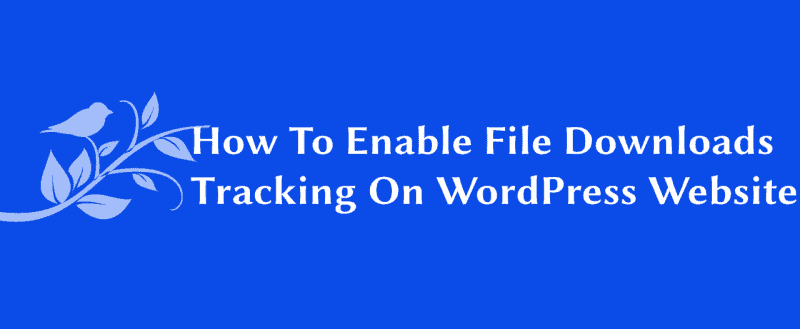 How To Enable File Downloads Tracking On WordPress Website