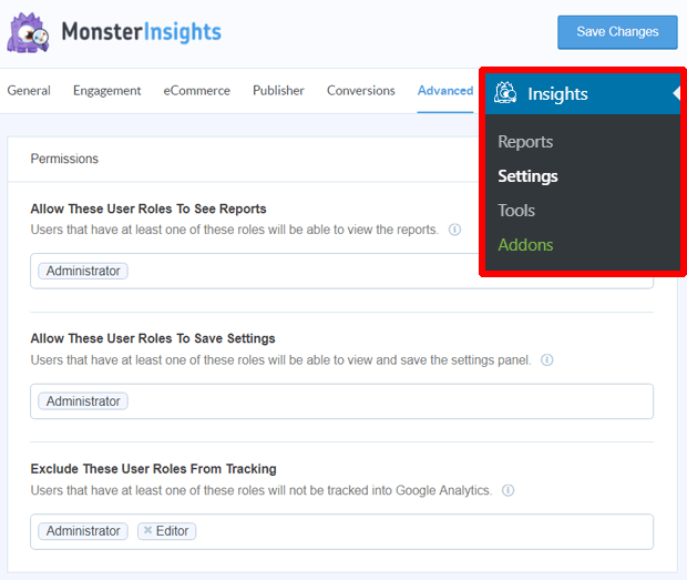 monsterinsights permissions