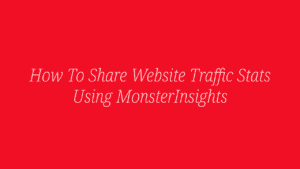 Share Website Traffic Stats