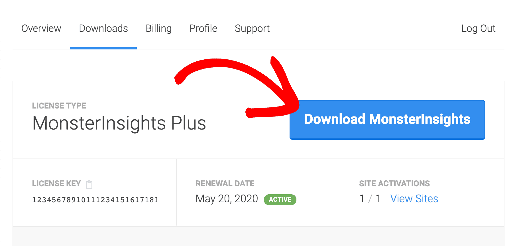 download monsterinsights premium